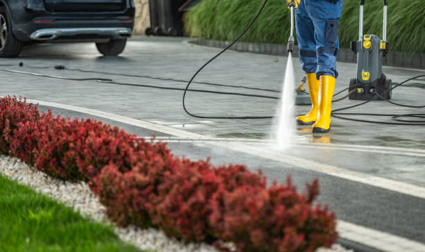 Best Roof Pressure Washing  in Mount Carmel, OH