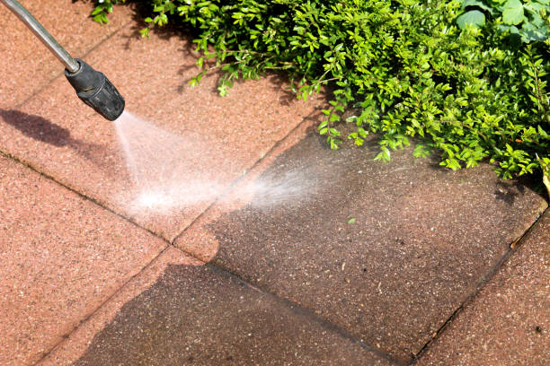 Best Pressure Washing Company Near Me  in Mount Carmel, OH